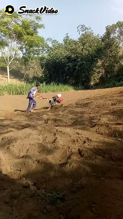 aku pancen wong cilik ra koyok rojo