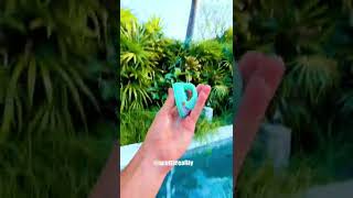 Celebrity You will probably FAIL this snow challenge! ❄️ Wealth