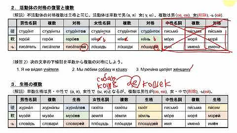 ロシア語 格変化 Mp3