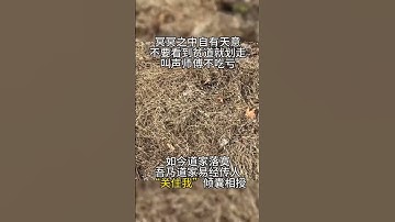 There are five requirements for accepting apprentices, as follows.收徒，会有五个要求要求。#道家文化  #易学智慧  #道观日常  