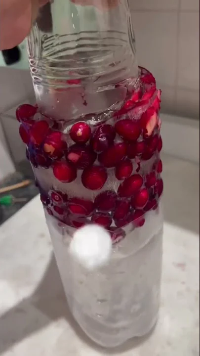 DIY Frozen holiday drink fun (with cranberries ) a...
