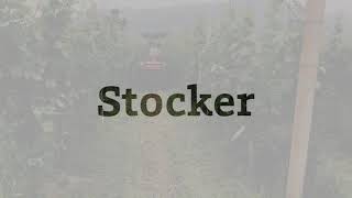 Stocker machines