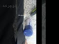 سلام من نیاز به کمک شما دارم لطفا کانال من رو سابسکرایب کنید با لایک کردنتون به من خیلی انرژی میدید سلام من نیاز به کمک شما دارم لطفا کانال من رو سابسکرایب کنید با لایک کردنتون به من خیلی انرژی میدید