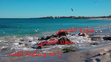 #سورة_القصص #سعد_الغامدي #راحةوسكينة #alquran #قرآن_كريم #راحة_نفسية #أحسن_التلاوات