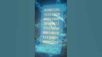 Why Layer 2 Blockchain is the Future of Blockchain Technology!