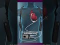 81: Mechanical Circulatory Support for Cardiogenic Shock With Guest Christian Guzman, APRN