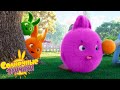 Последний апельсин - Солнечные зайчики | Мультфильмы для детей