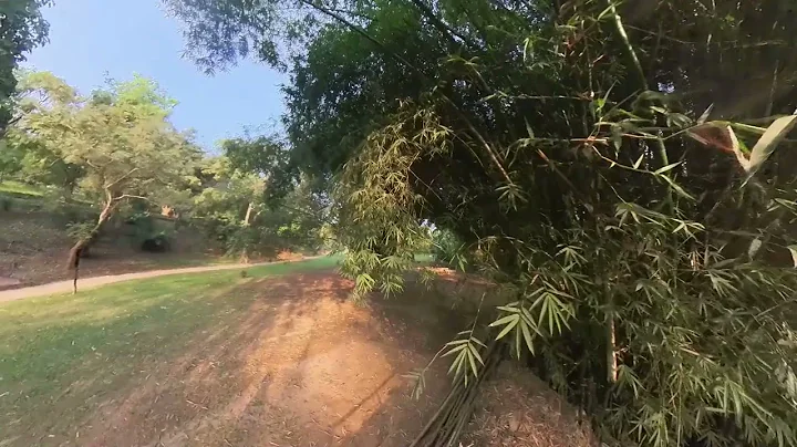 Before You Buy Insta360 X3 Watch this amazing Clips from the Camera