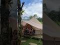 Ночь в джунглях в палатке 🏕️✨