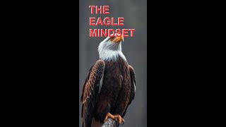 Unleash Your Inner Eagle: 7 Life-Changing Lessons (Animated Motivation)