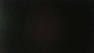 Freeform Tiny Toon Adventures Spring 2024