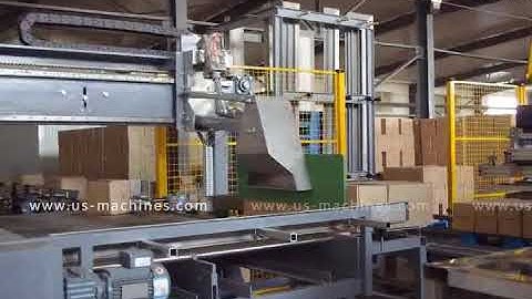 Automatic robot hand organizing palletizing machine with conveyor pushing feeding machine