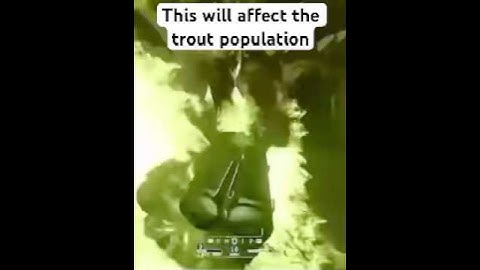 Devs accidentally added an extra 0 into their code in Helldivers 2 Dust Devils #shorts #helldivers2