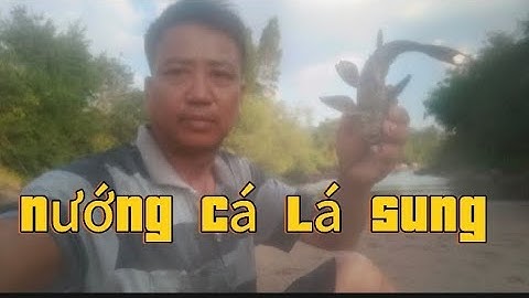 Quăng trài đánh bắt cá nướng cá lá sung cuộc sống mưu sinh thiên nhiên của nông dân quê sinh tồn