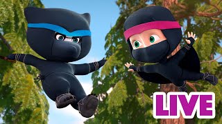 ماشا والدب 👱‍♀️ LIVE STREAM! 🛣️🦅 يصعب الحصول عليه! 🛣️🦅 Masha and the Bear