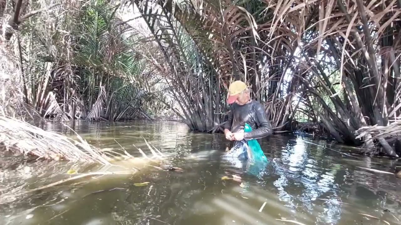 Ba lúa nhà quê săn bắt