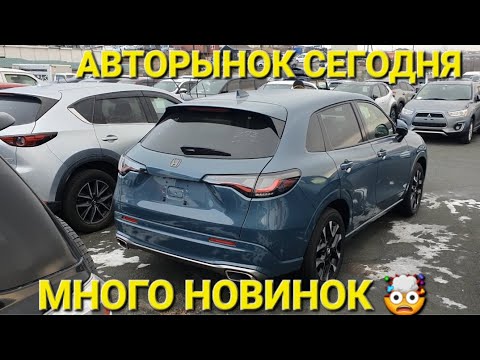 Видео: АВТОРЫНОК ЛЮТЫЙ ДВИЖ, ВЛАДИВОСТОК, ЗЕЛЁНЫЙ УГОЛ ЦЕНЫ