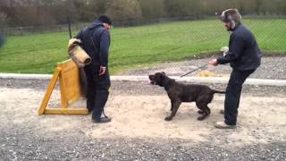 Ppb Chico Defence Work With Sati5K