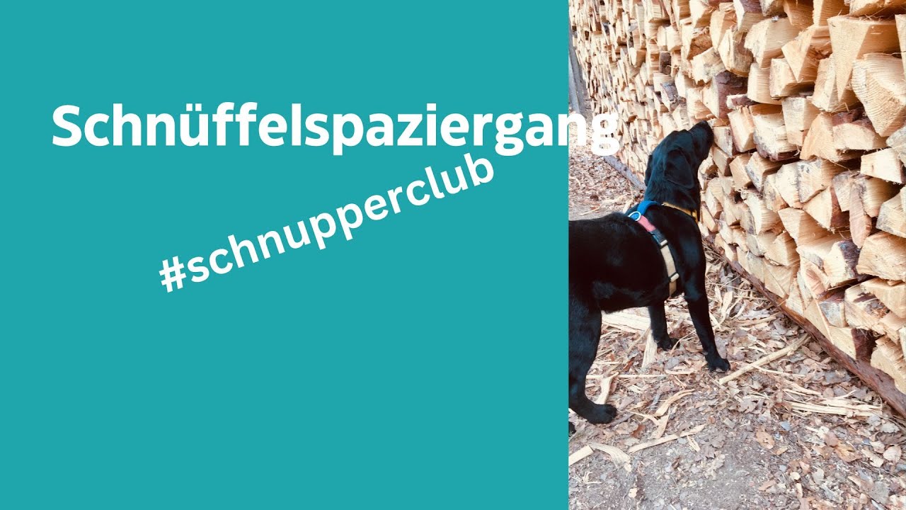 Schnüffelspaziergang mit Luna