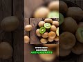 Kiwi Fruit Vs Oxidative Stress Health Benefits Explained Shorts