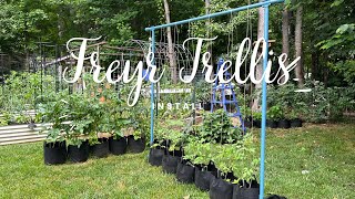 Freyr Trellis Install