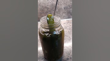 Fermented pickles 5 days in the making fresh from the Fridge. #short #scarfcooks