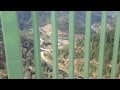 The Highest Bridge in California