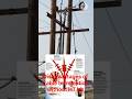 Disadvantages of Cable Termination without HT Kit | #powersystemprotection #electricalsafety #