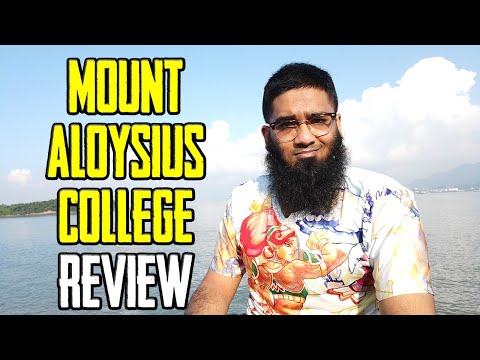 ? Mount Aloysius College Worth it ? + Review!?