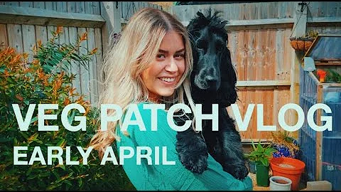 Garden to Garnish | Veg Patch Vlog - Early April