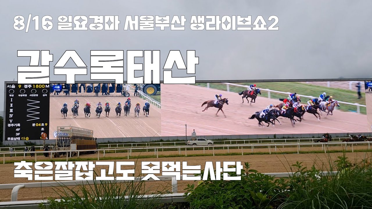 역쉬나 경마는 뛰어봐야안다 (일요경마 서울.부산 생라이브쇼2)