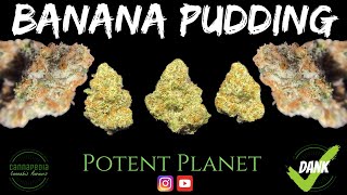 Banana Pudding Strain Review - Potent Planet - Cannapedia