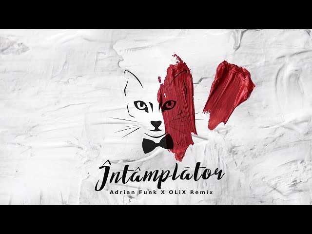 The Motans - Intamplator ( Adrian Funk X OL