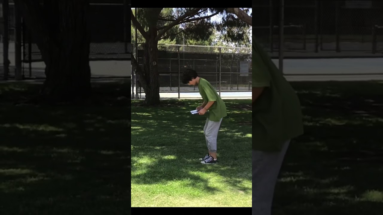 ☾ Flying Tutorial!☾ 