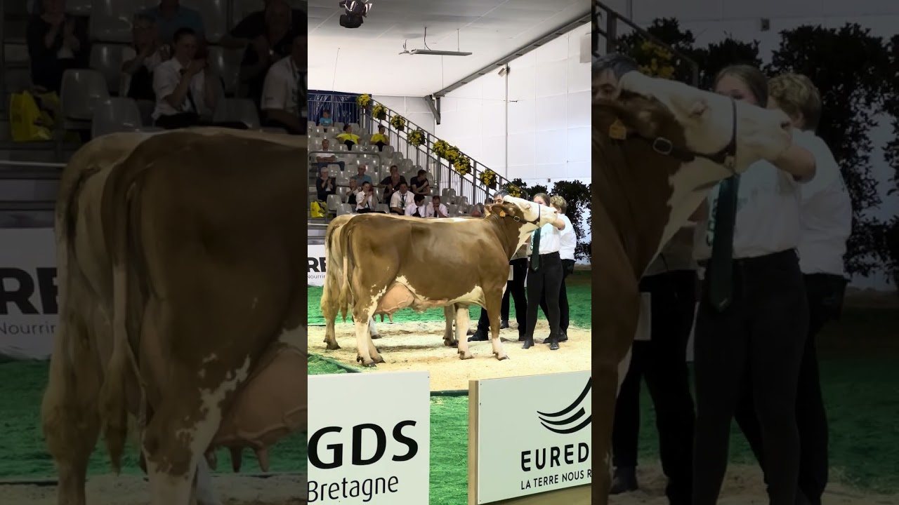 Тур в центр селекции лучших пород КРС со всего мира