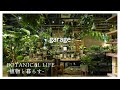 【観葉植物】garageの表現を全て凝縮させた、大人心を刺激する「上質な園芸店」|garage TOKYO|東京|丸の内|植物店巡り|丸ビル