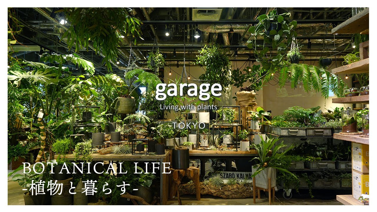 【観葉植物】garageの表現を全て凝縮させた、大人心を刺激する「上質な園芸店」｜garage TOKYO｜東京｜丸の内｜植物店巡り｜丸ビル