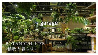 【観葉植物】garageの表現を全て凝縮させた、大人心を刺激する「上質な園芸店」garage TOKYO東京丸の内植物店巡り丸ビル