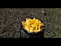 How to mix an egg perfectly (JBL Charge 4 Bass test)