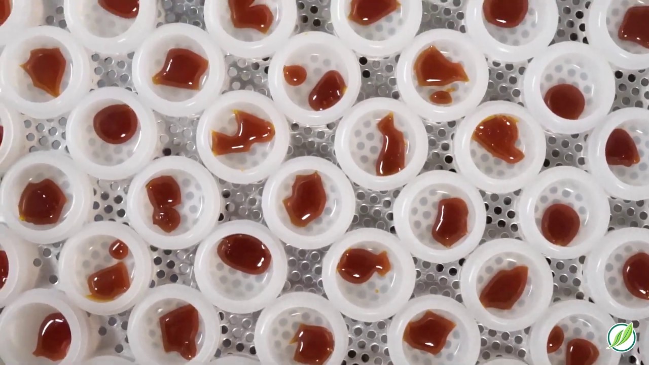 A Concentrate's Story