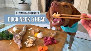 Dog Eats Freeze Dried Duck Head and Neck | Mukbang Ep 4