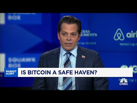 Bitcoin is still very young in terms of adoption, says SkyBridge Capital's Anthony Scaramucci