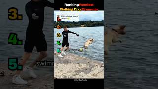 Walking these dogs was a mistake 🐶😂 #dogranking #funnydogs #dogmoments #dogreaction