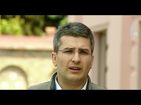 მმართველი გუნდი სანდრა რულოვსის განცხადებას აფასებს