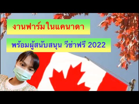 วีดีโอ: ค่าปกติสำหรับ PaO 2 คืออะไร ค่าสำหรับกำหนดความรุนแรงของภาวะขาดออกซิเจนคืออะไร?