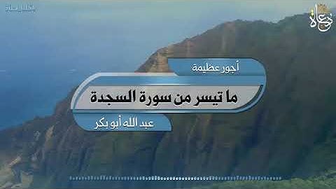 تلاوات مختارة من سورة السجدة /القارئ عبد الله أبو بكر