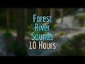 10 Hours of a Forest River and Birds - Relaxing Sounds for a Calm and Peaceful Environment