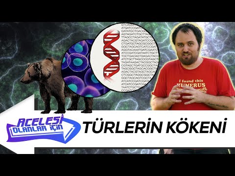 Yüz Milyarlarca Tür Nereden Geldi? | Türlerin Kökeni Nedir?