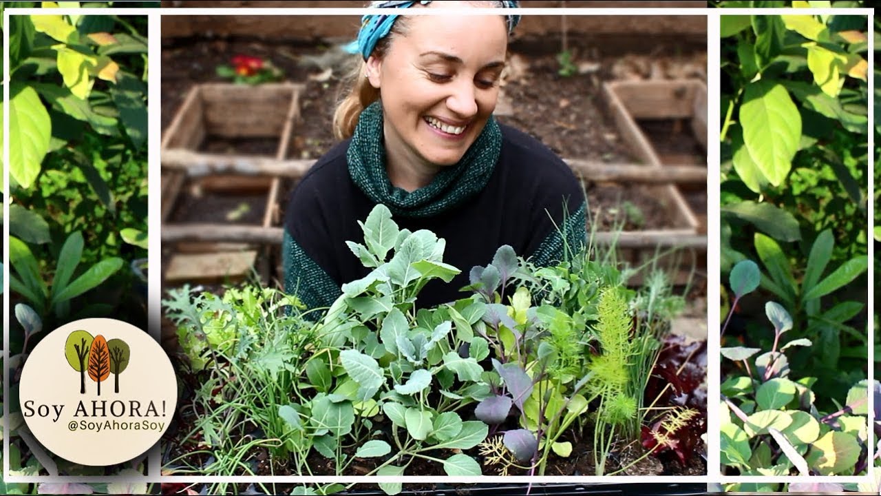 Asociación de Cultivos // Los nuevos bancales y los almácigos de invierno!!