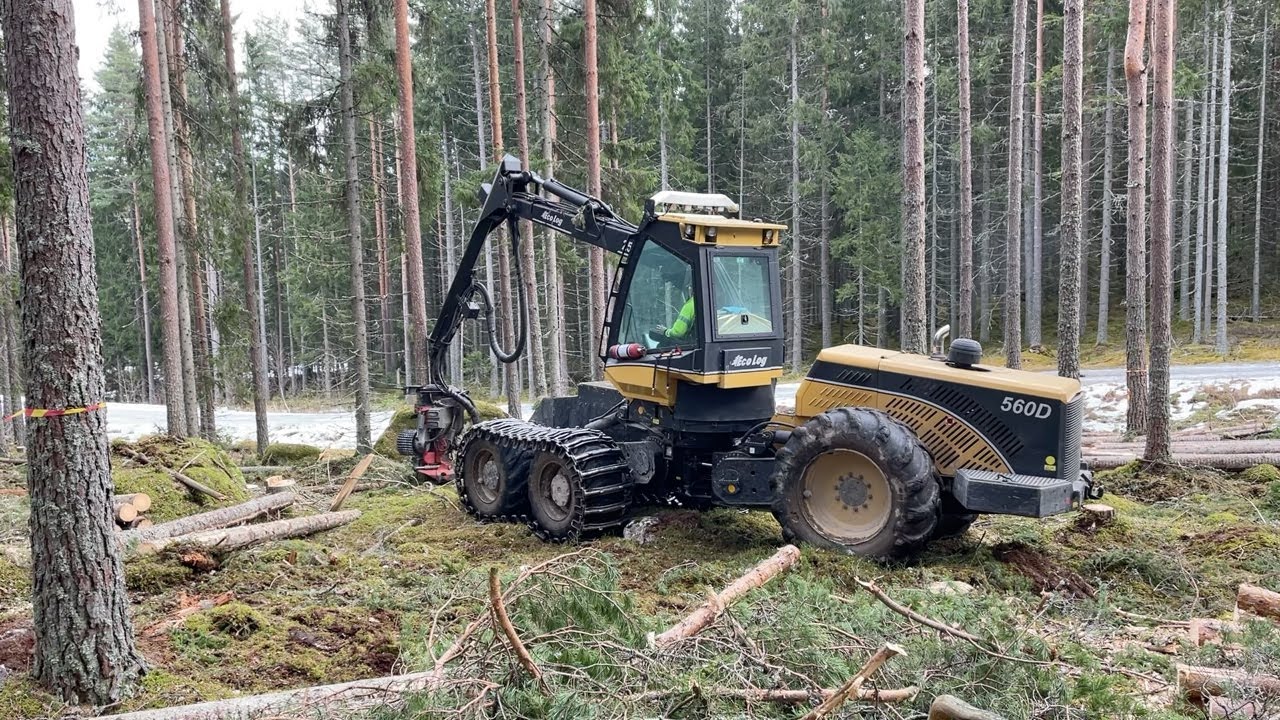 Köp Skördare Ecolog 560D på Klaravik